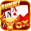 rummy 51 bonus apps icon